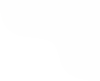 1Rank SEO