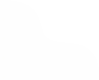 1Rank SEO